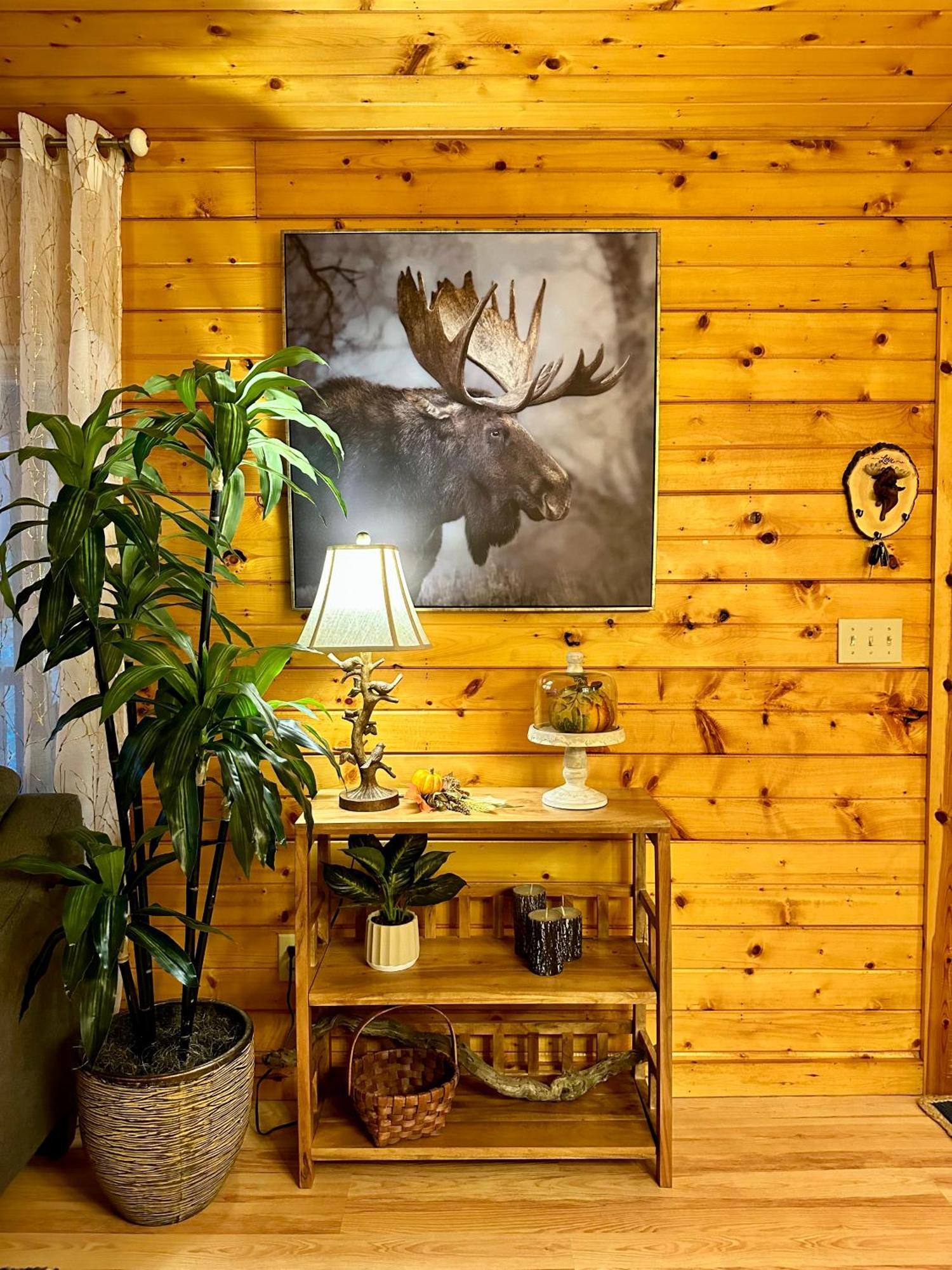 Cozy In Red River Gorge Holiday home Rogers